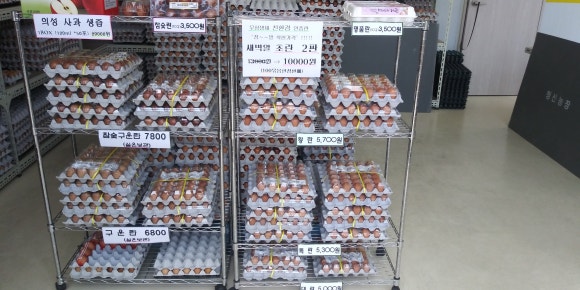 새벽알유통 이미지