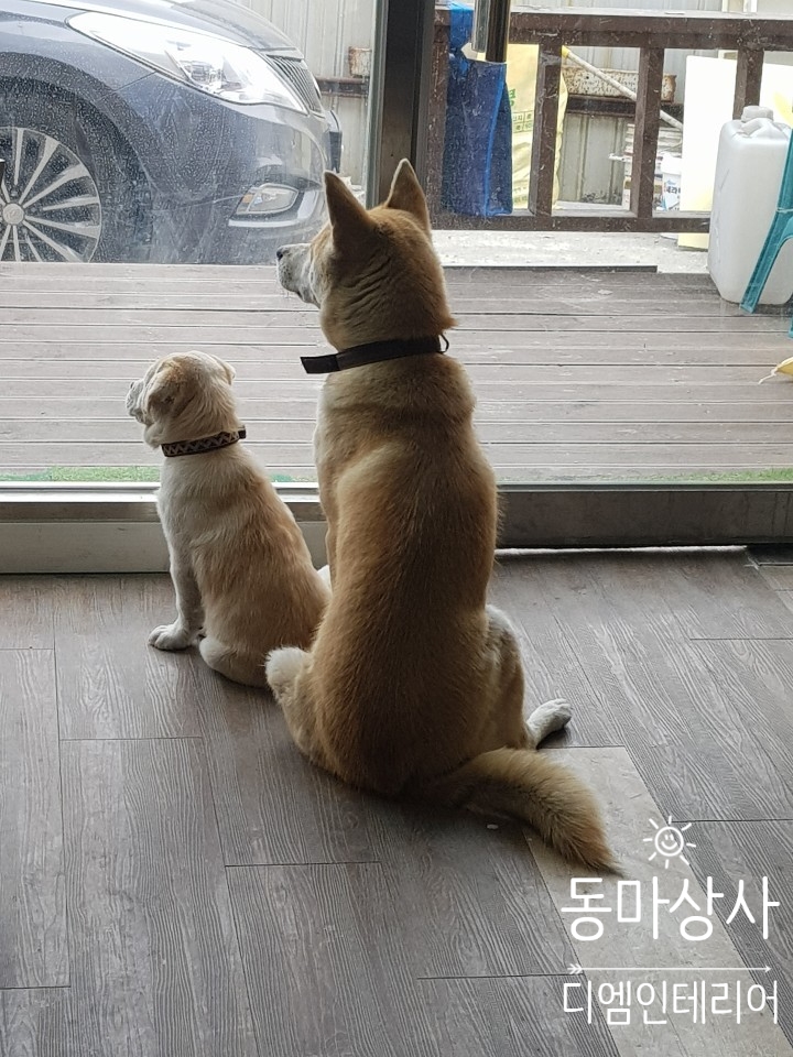 평창지업사 이미지