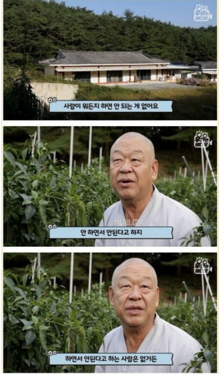 황금손 이미지