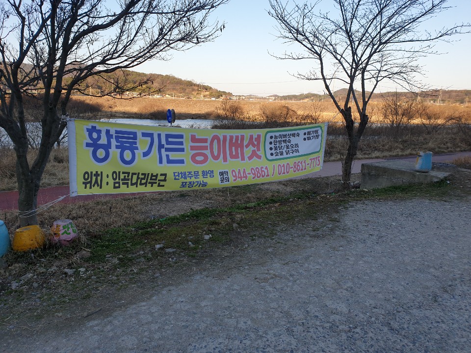 황룡가든 이미지