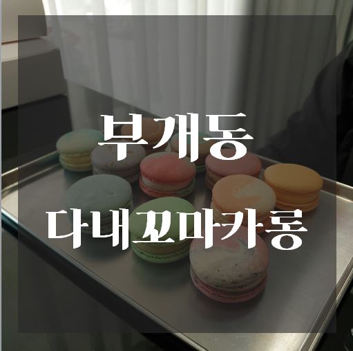 꼬마카롱 이미지