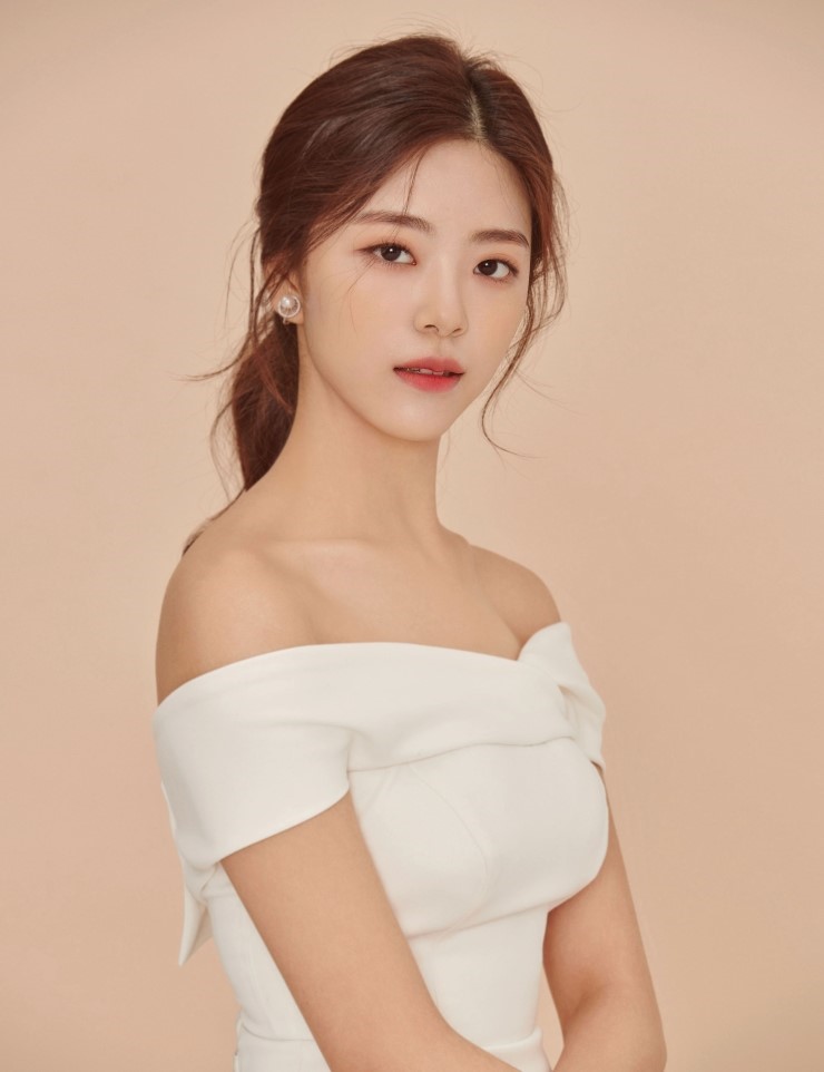 아라헤어 이미지