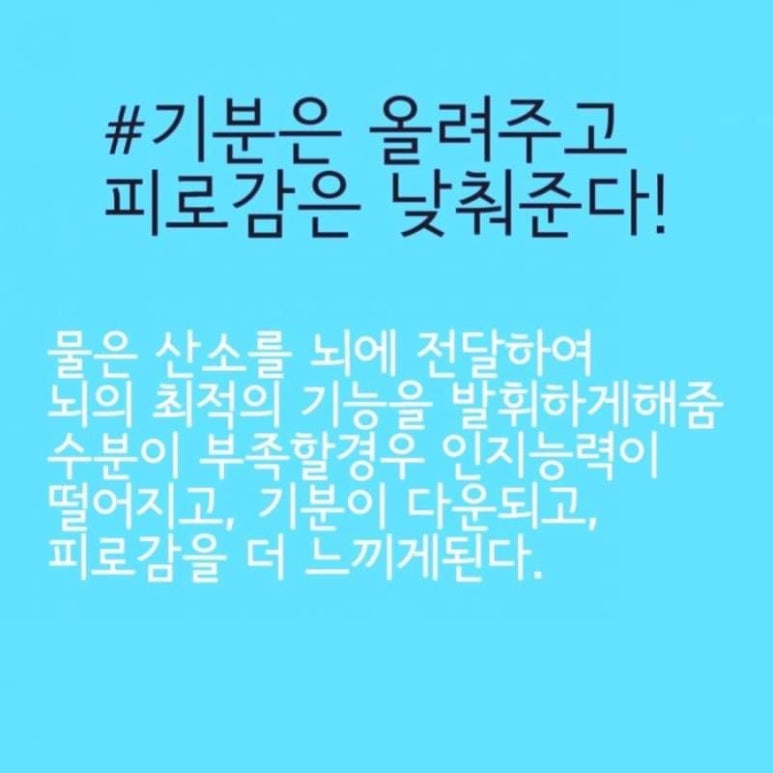 하이점핑다이어트 이미지