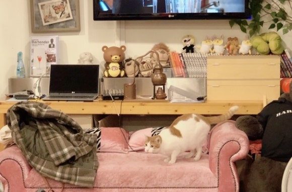 아이엠어바텐더학원 이미지