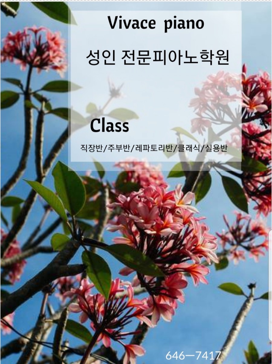 비바체피아노학원 이미지
