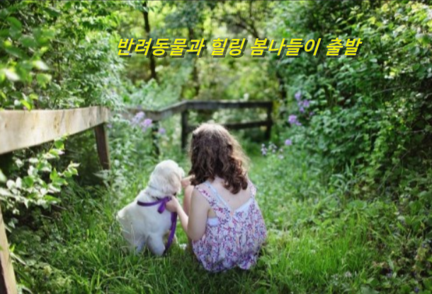 올펫 이미지