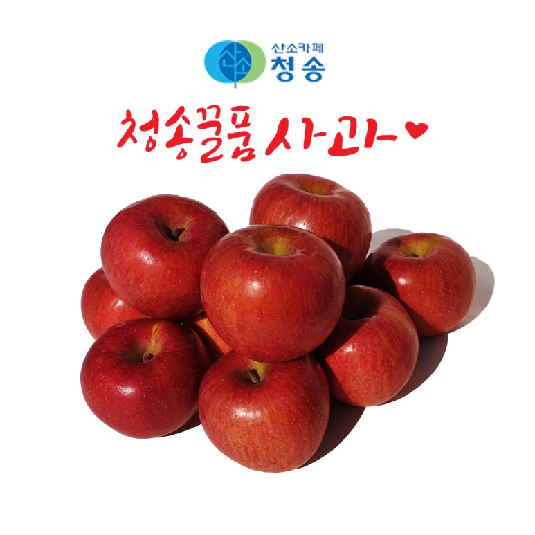 유애플 이미지