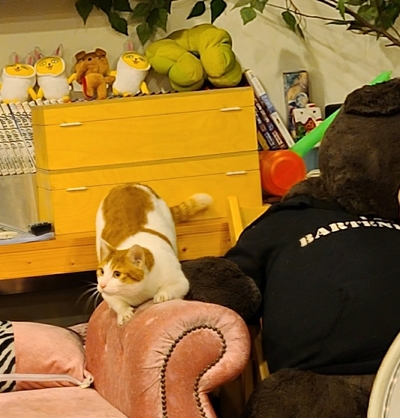 아이엠어바텐더학원 이미지