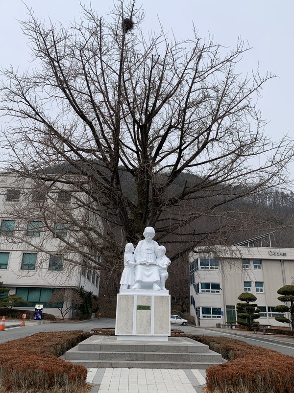 공주교육대학교부설초등학교 이미지