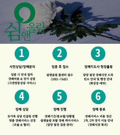 성남중앙병원 이미지