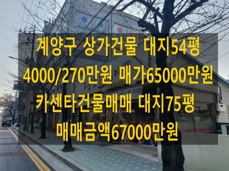 원카센타 이미지