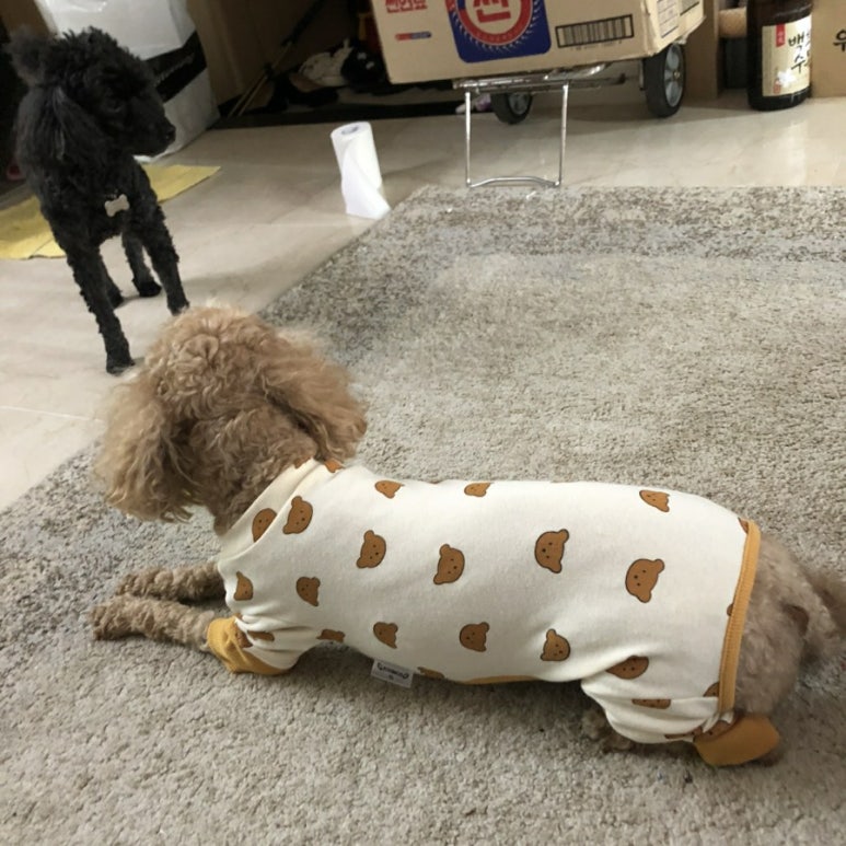 도그버디 이미지