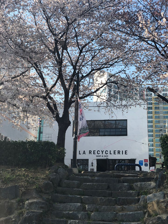 카페 봄에 이미지