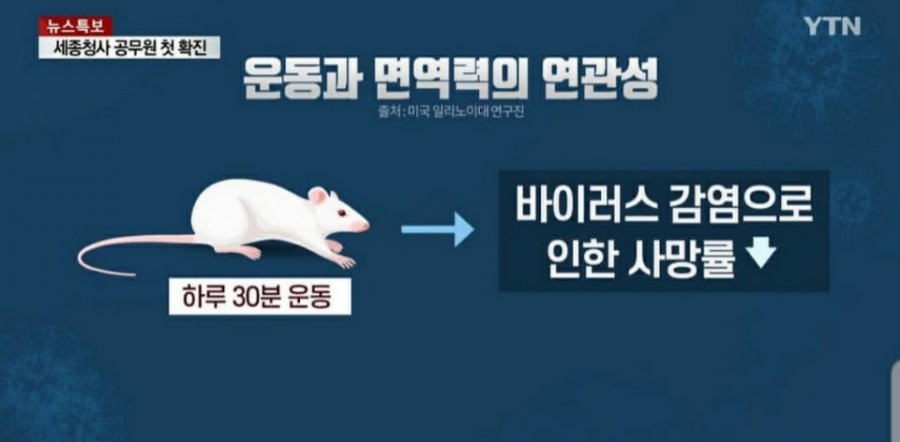 플렉스스튜디오 이미지