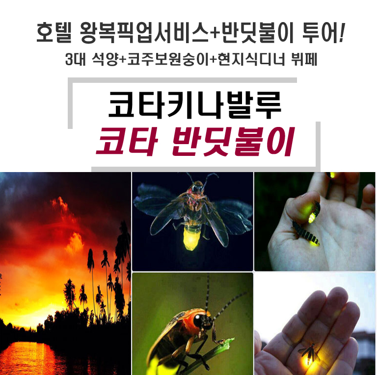 으뜸투어 이미지