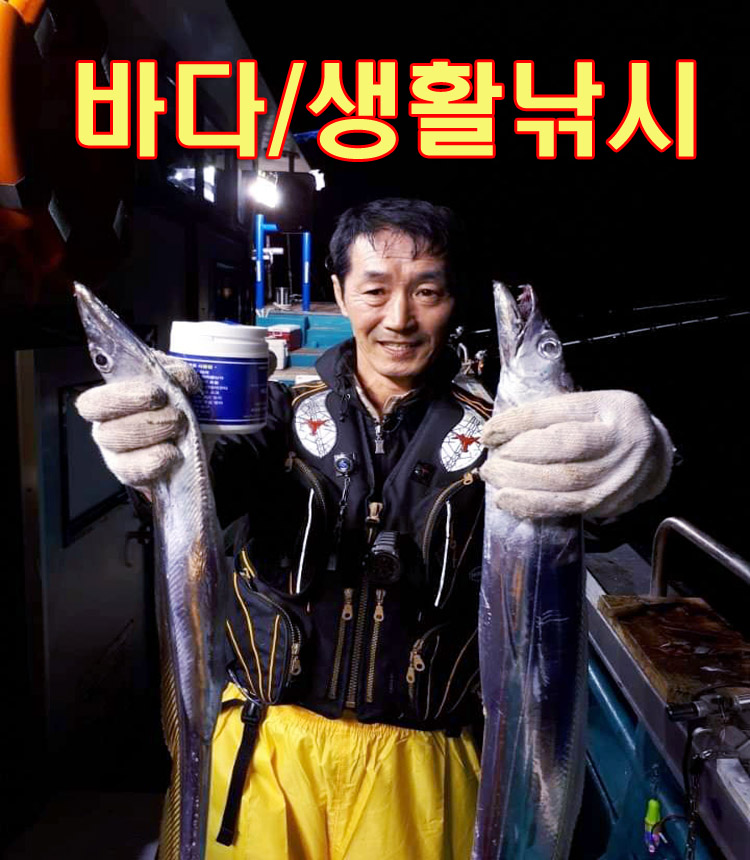 3.  8조구 이미지