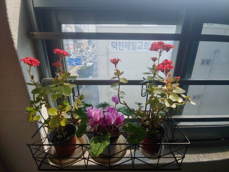 남산정요양병원 이미지