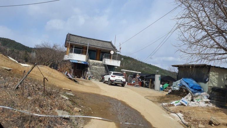 벨로체피아노 이미지