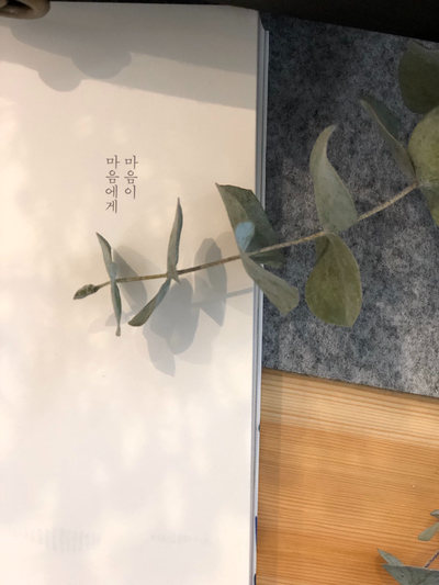 수지봄한의원 이미지
