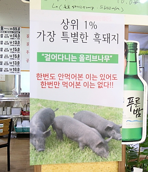 울돌목광양 이미지