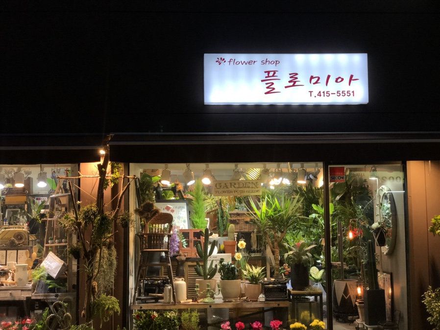 플로미아 이미지