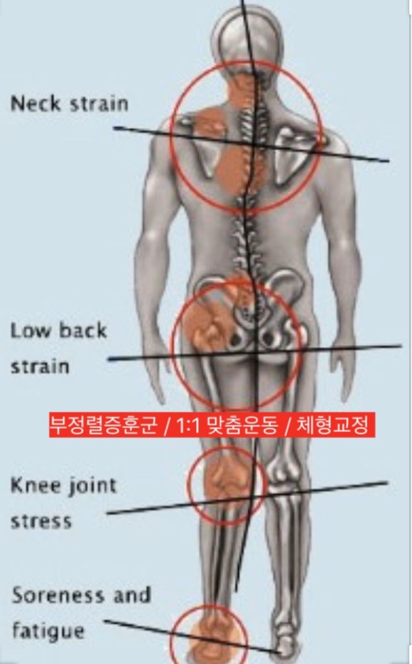 심기동메디컬트레이닝센터 이미지