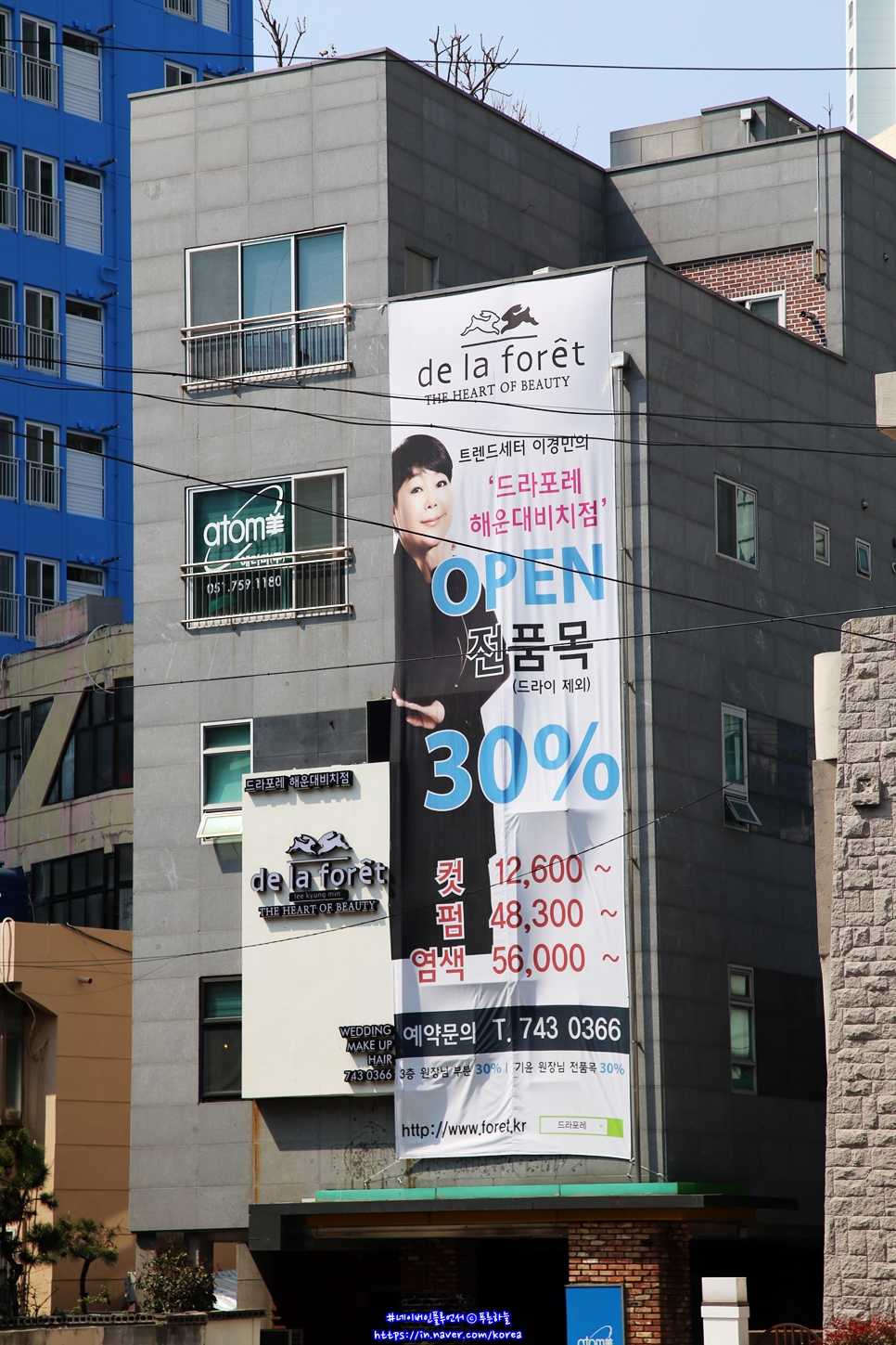 드라포레비치점 이미지