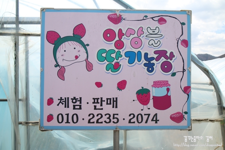 앙상블딸기농장 이미지