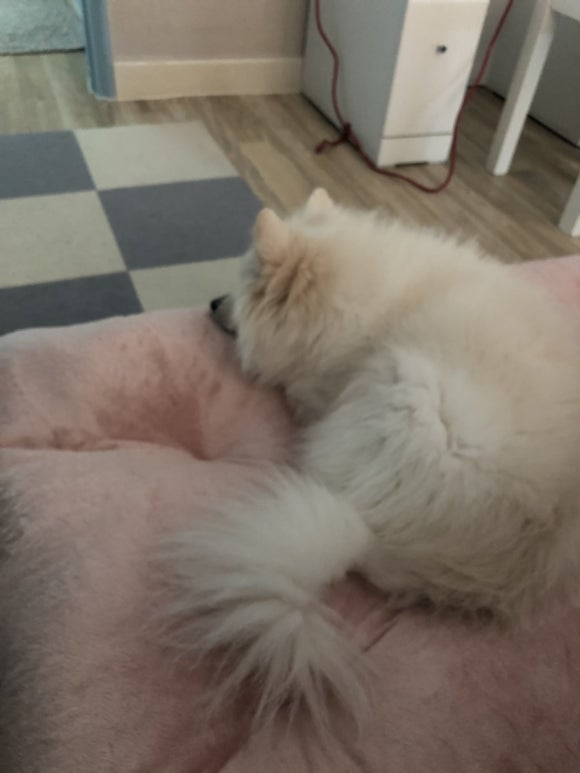 올다람 이미지