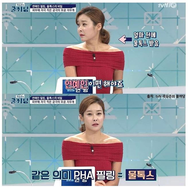 집톡스 이미지