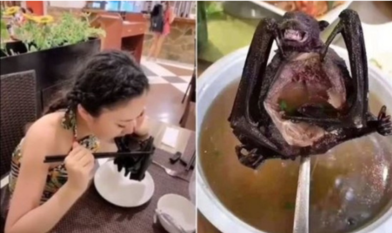 친환경크린 이미지
