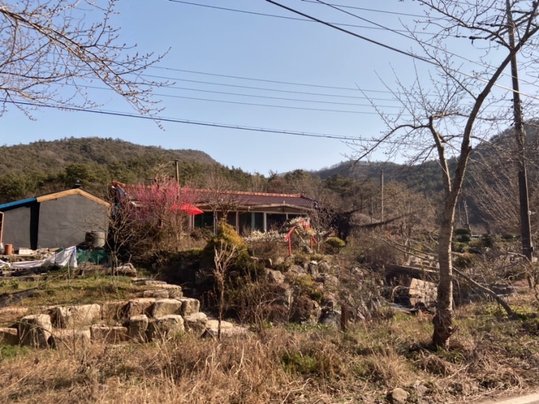 무안돌솥밥설렁탕 이미지