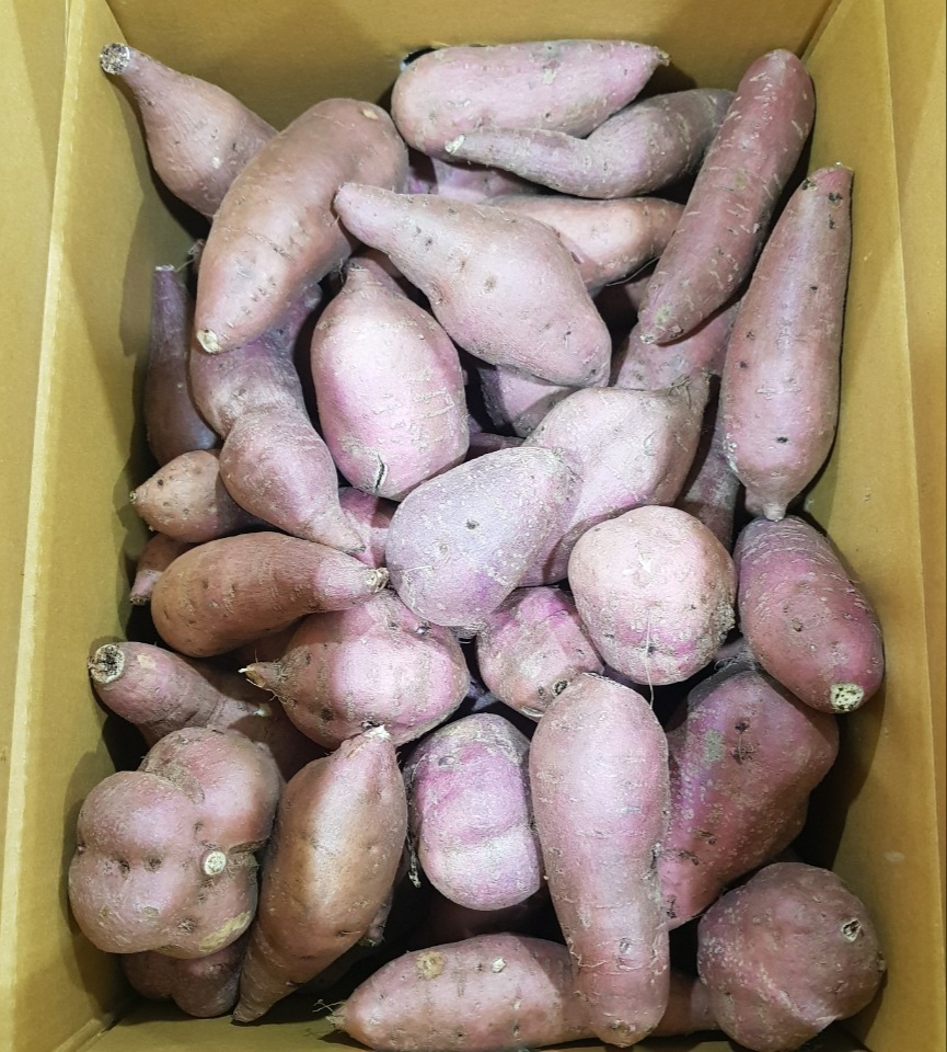 이송유통 이미지