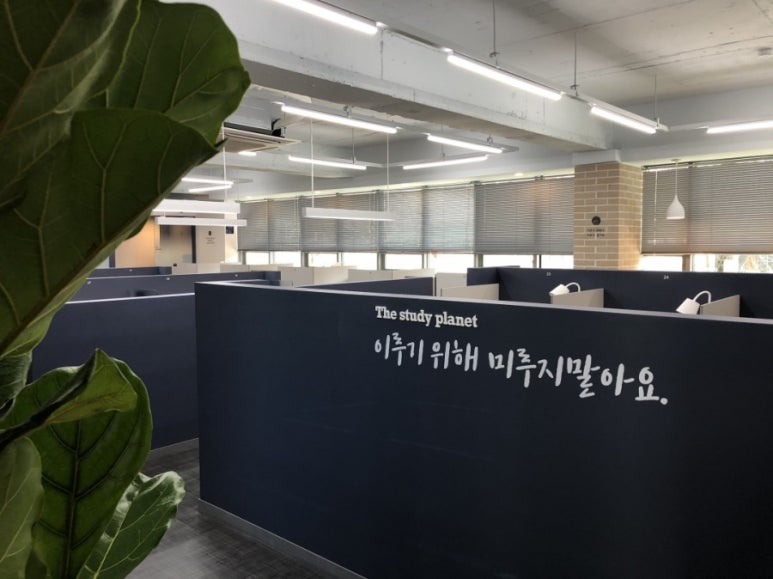 스플24스터디카페 이미지
