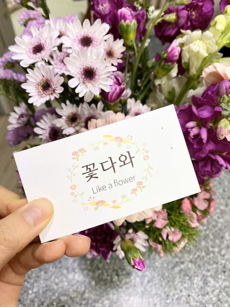 꽃다와 이미지