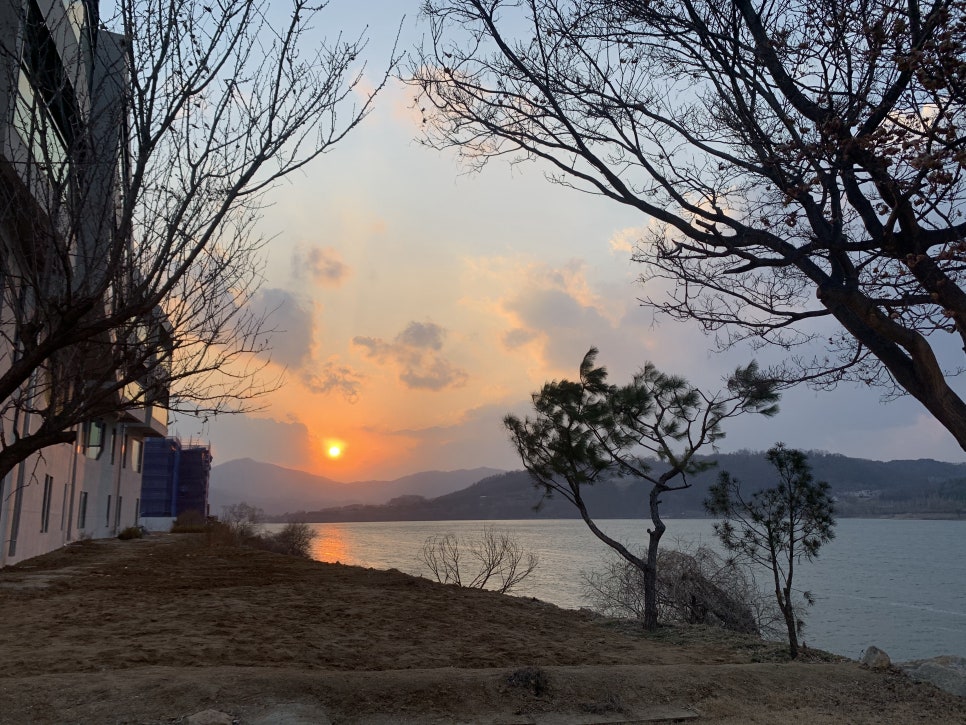 아라참 간식 이미지