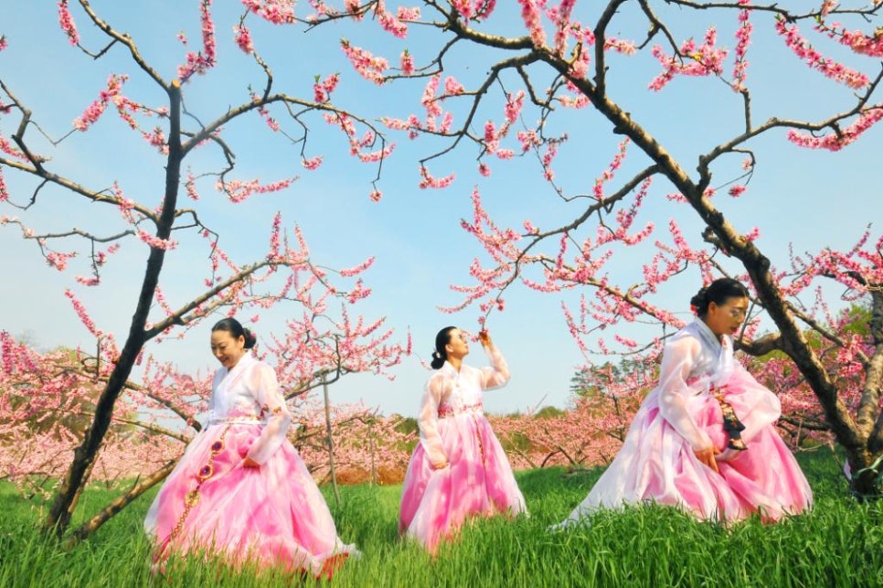상맹방1리 이미지
