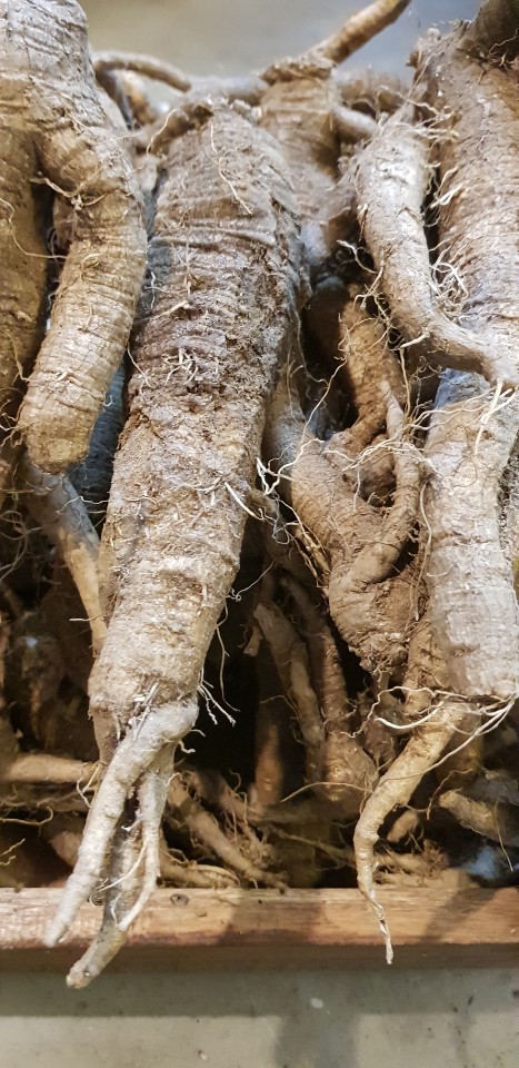 지리산청솔식품 이미지
