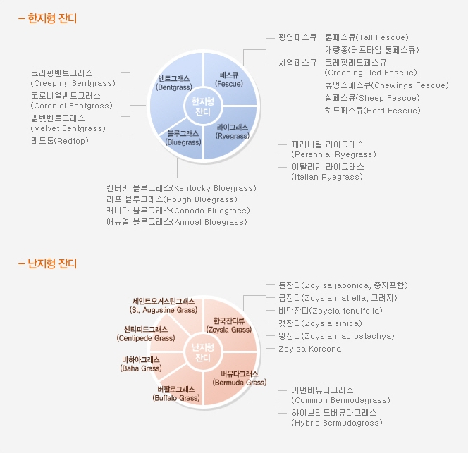 잔디골프투어 이미지
