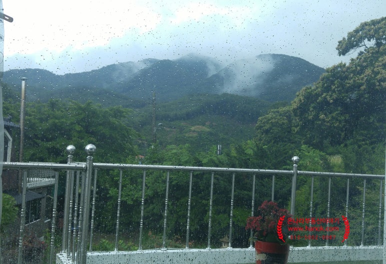 운학초등학교 이미지