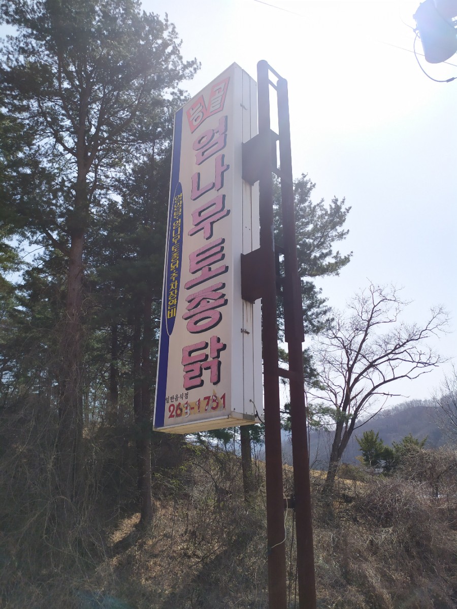 능골엄나무토종닭 이미지