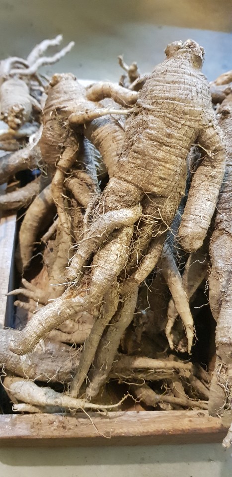 지리산청솔식품 이미지