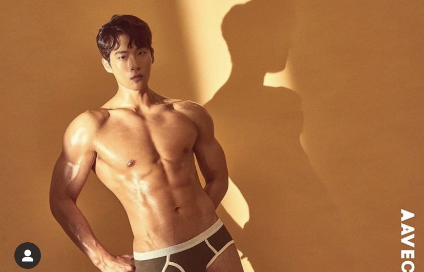 해피스타인터내셔널 이미지