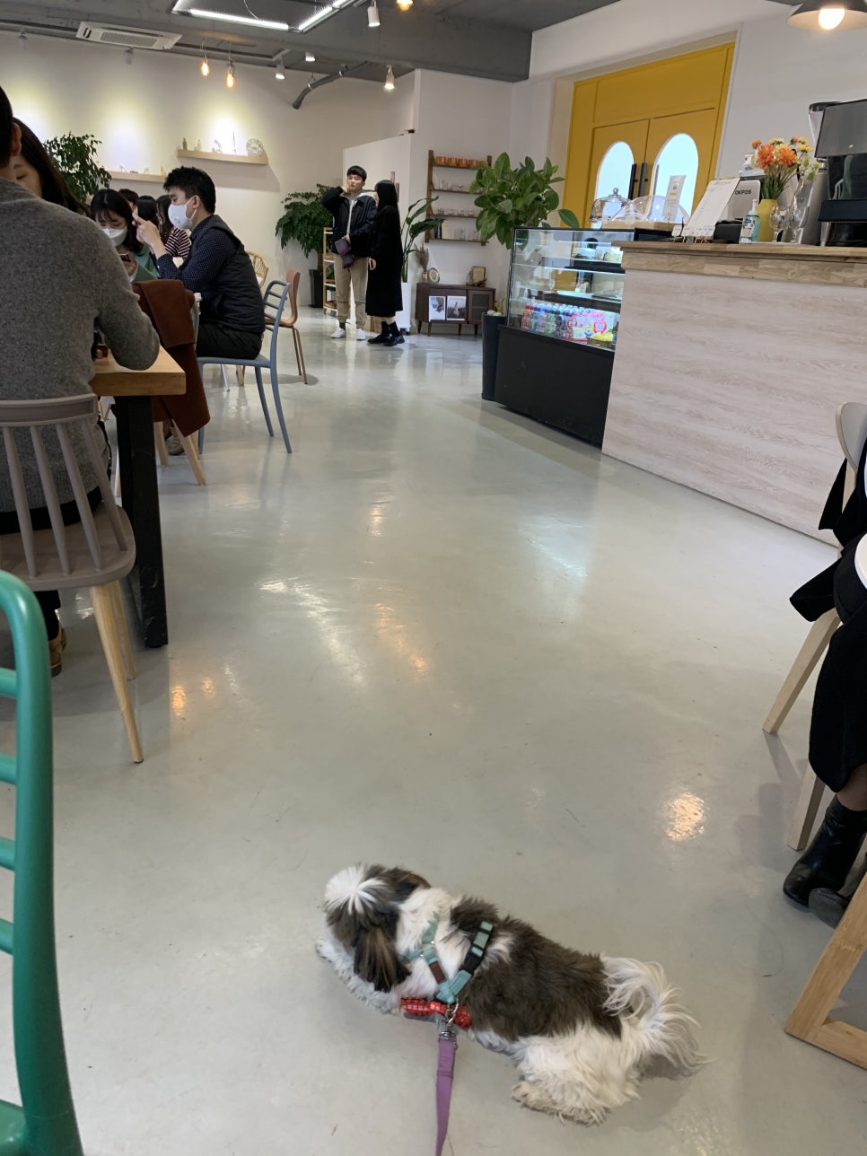 아라참 간식 이미지