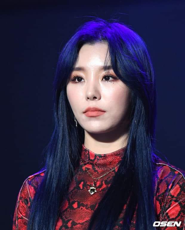 노블리즈 이미지