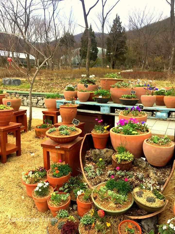중앙꽃식물원 이미지