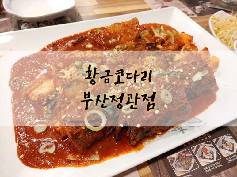 황금코다리부산 이미지