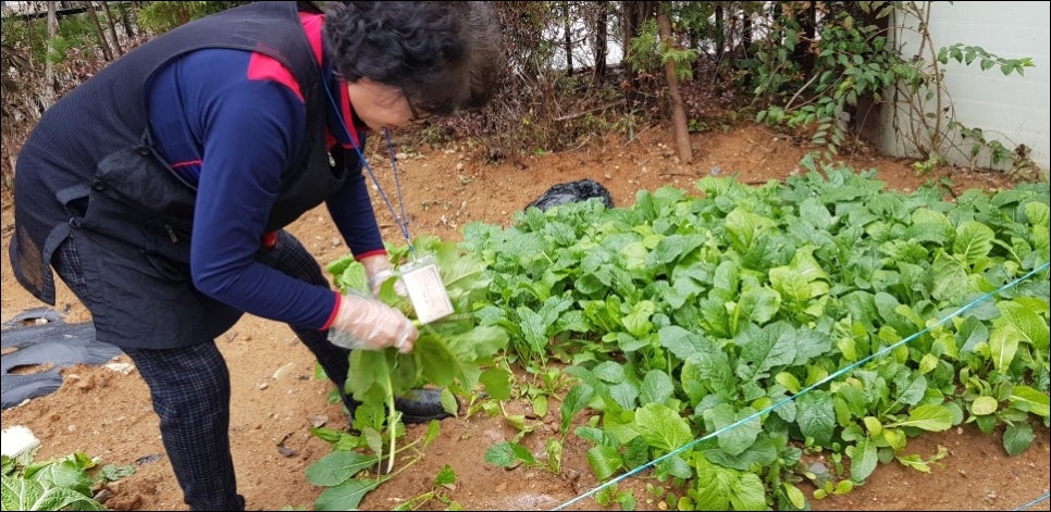 일산수요양원 이미지