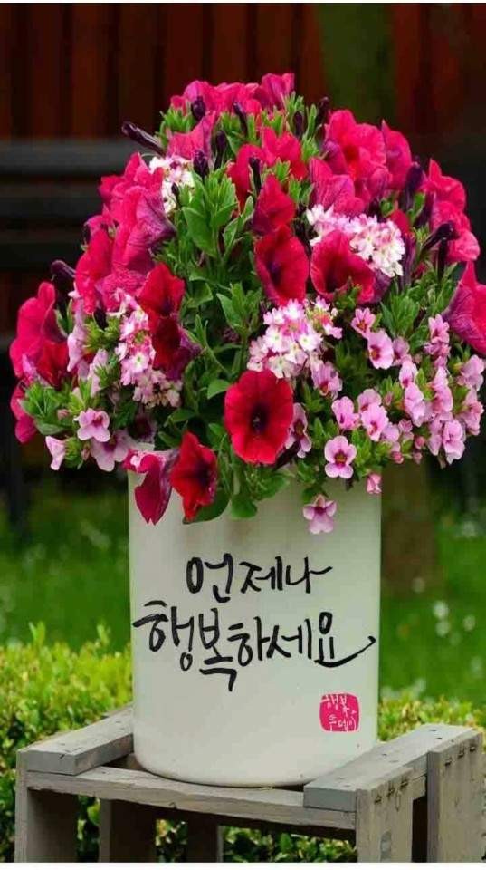 누룩골 이미지