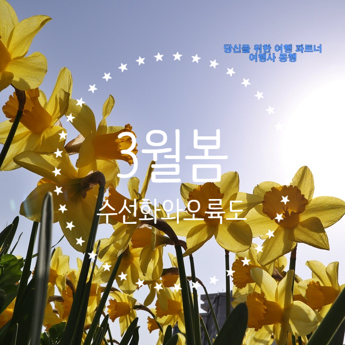 (주)동행여행사 이미지